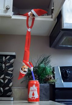 an elf is hanging upside down in the kitchen