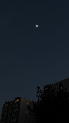 the moon is shining brightly in the night sky over some tall buildings and tree branches