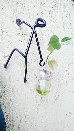 a plant growing out of a light bulb hanging from a hook on the side of a wall