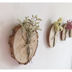 three pieces of wood are hanging on the wall with flowers in vases next to them