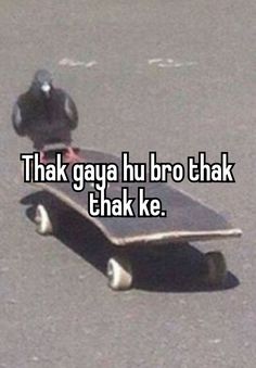 a bird sitting on top of a skateboard that says, i think gay hu bro thake