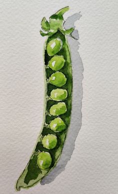 a watercolor painting of a pea pod