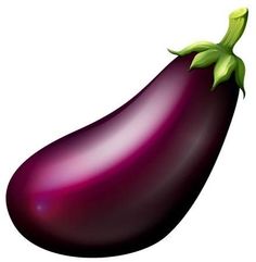 an eggplant is shown on a white background