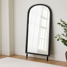 a large mirror sitting on top of a wooden floor next to a potted plant