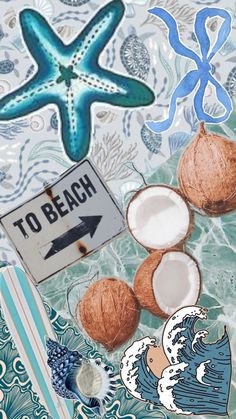 an image of coconuts and starfish in the ocean with to beach sign on it