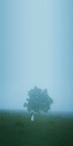 a woman standing in the middle of a field with a tree behind her on a foggy day