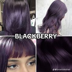 Light Purple And Dark Purple Hair, Blackberry Color Aesthetic, Different Hair Colors Ideas, No Bleach Purple Hair, 2024 Hair Colour Trend, Dark Brown Hair With Purple Underneath, Dark Color Hair Ideas, Purple Haired Characters, Blackberry Hair Color