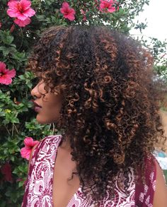 Honey Brunette Curly Hair, Highlights On 4b Curly Hair, Coily Highlights, Curly Hair Highlights Type 4, Carmel Highlights On Brown Hair Curly 3a, Natural Hair Highlights, Dyed Curly Hair, Hair Growth Shampoo