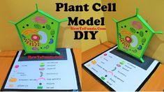 the plant cell model diy is designed to look like a house