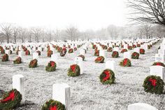 wreaths are placed on headstones in a snowy cemetery with trees and bushes behind them