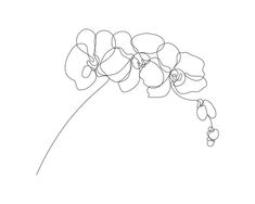 Orchid Minimalist Drawing, Line Art Orchid Tattoo, Orchid Tattoo Linework, Orchid Side Tattoo Ribs, One Line Orchid Tattoo, Abstract Orchid Tattoo, Orchid Small Tattoo, Orchid Illustration Drawing, Simple Orchid Drawing