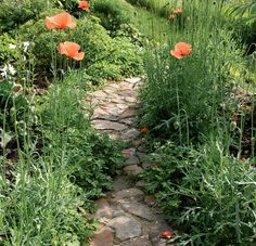 a stone path in the middle of a garden with orange flowers on it's side