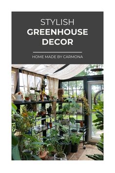 the cover of stylish greenhouse decor, with plants and potted plants on shelves