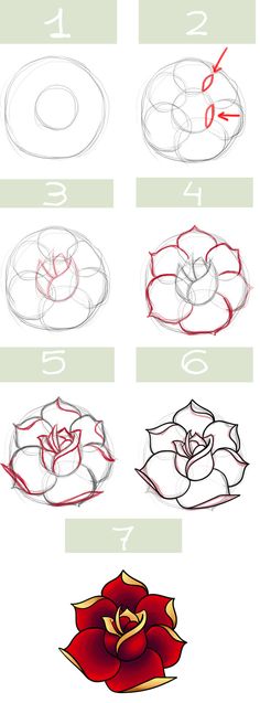 step by step instructions on how to draw flowers