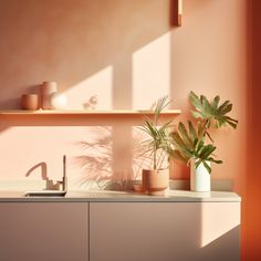 some plants are sitting on top of a counter in a room that has orange walls