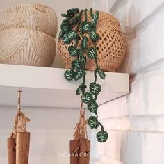 some plants are hanging from a shelf in a room