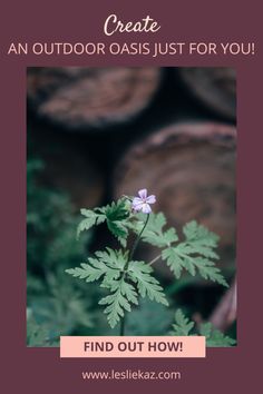 a purple flower with the words create an outdoor oasis just for you find out how