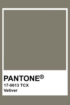 the pantone color is shown in gray