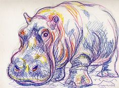 a drawing of a hippopotamus with colored pencils on it's face