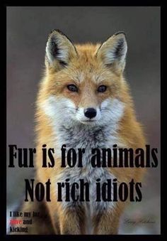 Status Symbol, Animal Activism, Stop Animal Cruelty, Animal Advocacy, Animal Fur, Brooke Shields, Save Animals, Animal Welfare, Animal Quotes