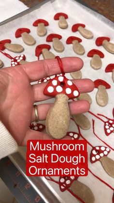 a person holding a rock in their hand with the words mushroom salt dough ornaments on it