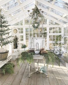 a room filled with lots of plants and potted trees in the middle of it