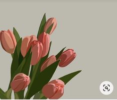 a bunch of pink tulips in a vase on a gray background with the words,