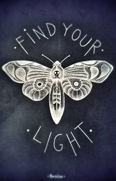 a moth with the words find your light written on it