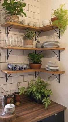 some plants and plates are on shelves in the corner of a room with white brick walls