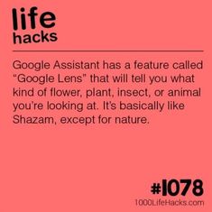 Hacking Websites, Iphone Information, Computer Help, Iphone Life Hacks, Technology Hacks, 1000 Life Hacks, Life Hacks Computer, Iphone Life, Life Hacks Websites