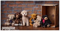 a group of teddy bears sitting next to each other on a wooden floor in front of a brick wall