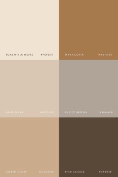 four different shades of brown, beige, and white paint colors with the same color scheme