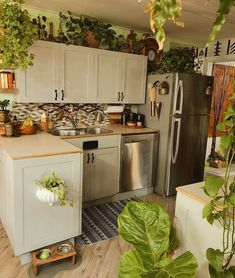 a kitchen filled with lots of green plants next to a stove top oven and refrigerator