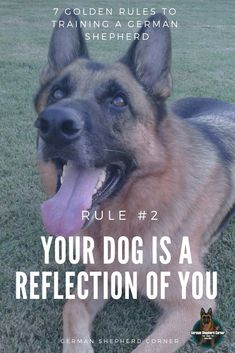 a german shepherd dog with the caption rules 2 your dog is a reflection of you