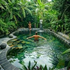 a man swimming in a pool surrounded by lush green plants and trees, while another person watches from the side