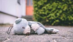 a stuffed animal laying on the ground in front of a house with bushes behind it