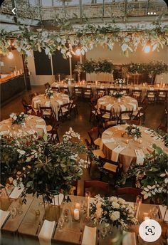 tables and chairs are set up for an event with greenery hanging from the ceiling