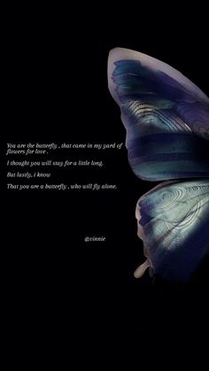 a blue butterfly with a poem written on it's wings in front of a black background