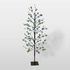 a small pine tree with green leaves in a square base on a white background,