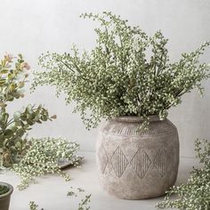 some plants are sitting in a vase on the table next to another potted plant