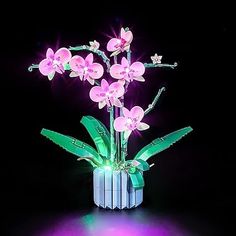 YEABRICKS LED Lumière pour Lego-10311 Creator Orchid Modèle de Blocs de Construction (Ensemble Lego Non Inclus) : Amazon.fr: Jeux et Jouets Complicated Lego Sets, Lego Orchid, Birthday Vision Board, Goth Diy, Lego Collection, Lego Creator, Presents For Kids, Step Lighting, Great Birthday Gifts