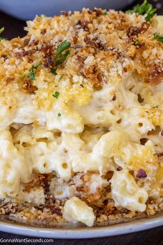 macaroni and cheese casserole with parmesan bread crumbs on top