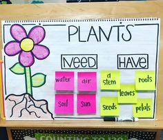 a bulletin board with flowers and plants written on it, along with notes about plant life