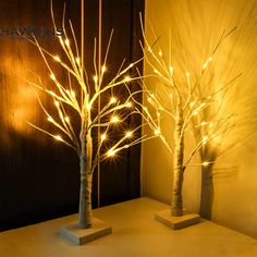 two lighted trees on display in front of a wall