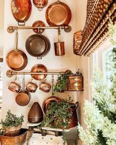 pots and pans are hanging on the wall next to pot racks with plants in them