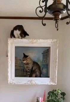 a cat is sitting on top of a painting