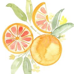 watercolor painting of oranges with leaves and flowers