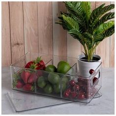 a plastic container filled with fruits and vegetables on top of a counter next to a potted plant