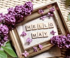 the word hello may spelled with scrabbles in a frame surrounded by purple flowers