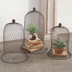 three wire cages with plants in them sitting on the floor next to each other,